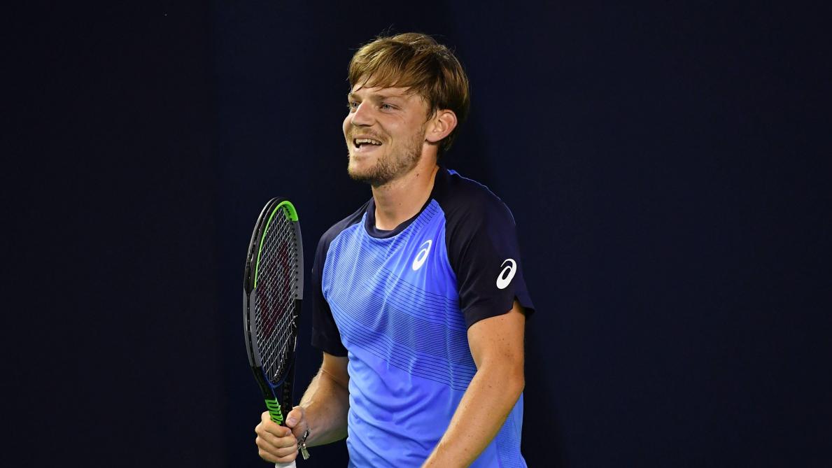 Goffin