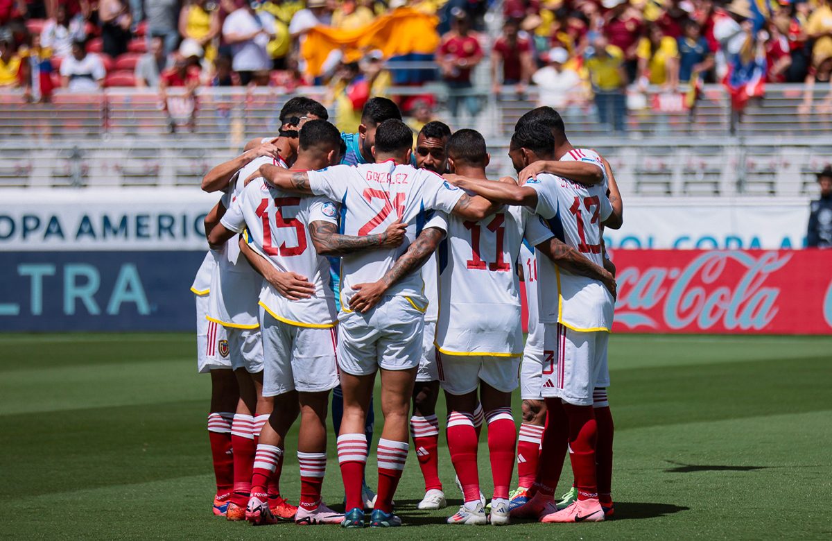 Vinotinto